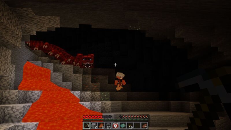 Image 11
