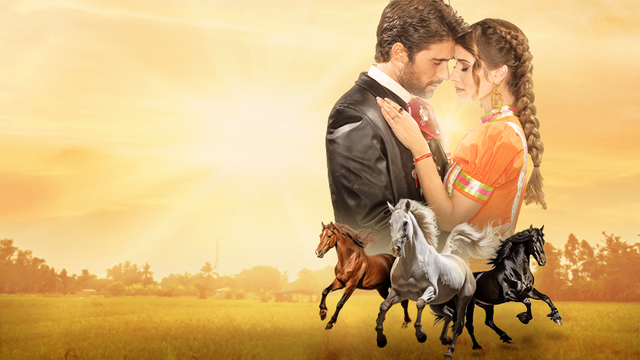 header-mobile