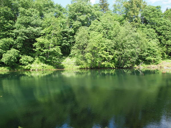 https://i.ibb.co/93hwPdmV/Ic-R0k.jpg