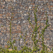 pared1