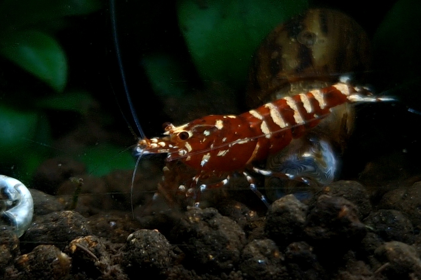 01-4540.jpg
