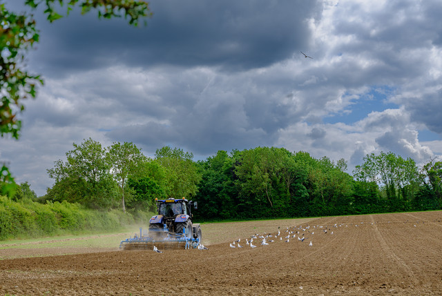 DSF1809