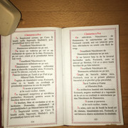 IMG 0225