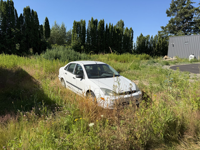 IMG 0914.jpg