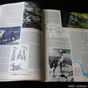 IMG-2410