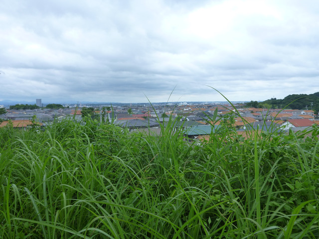 P1320348