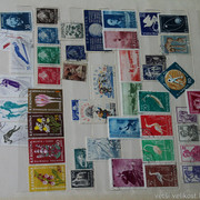 IMG-6958