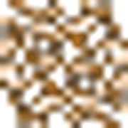 conif forest floor overlay