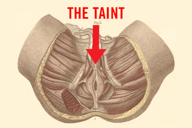 taint