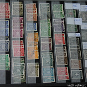 IMG-6788
