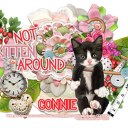 connie-LE-mctag