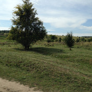 IMG-4090