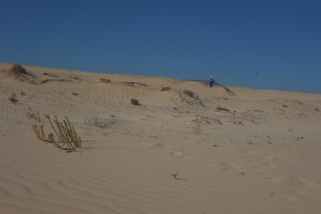DSCF8559.jpg