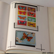 IMG-3985
