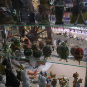 IMG-6631