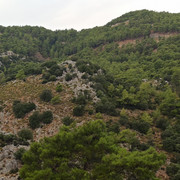 IMG 20260926 073516