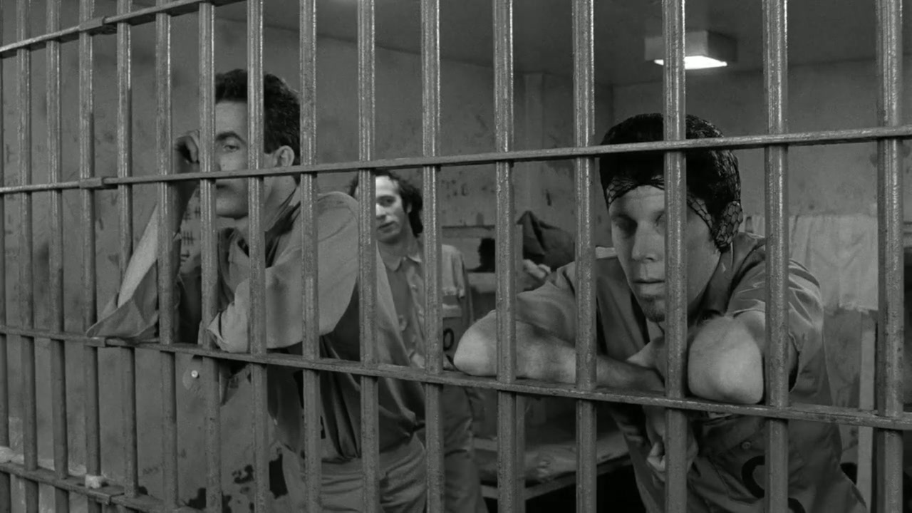 Down by Law Screenshot