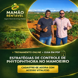 Controle de Fitóftora no Mamoeiro