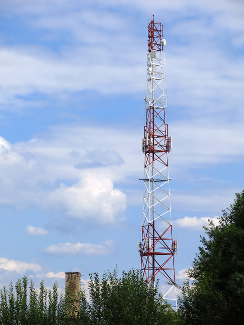 IMG-4615