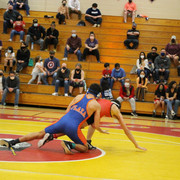 IMG-0254