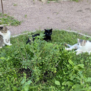 IMG-2589