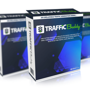 Traffic Buddy 350