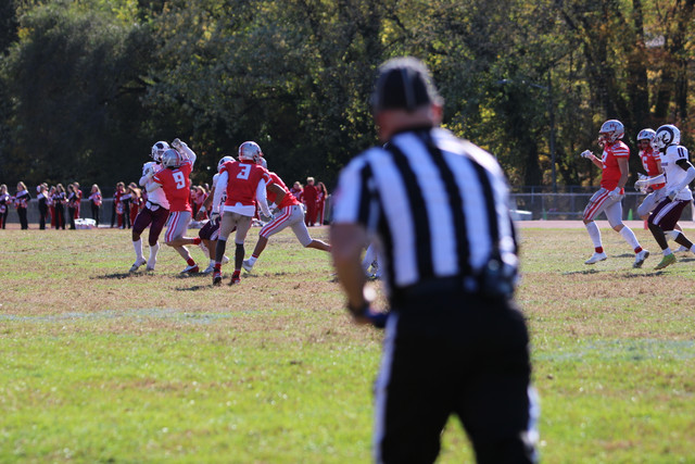 IMG-1115.jpg