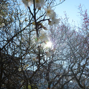 2020-01-29-13