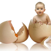 1920x1080-child-shell-egg