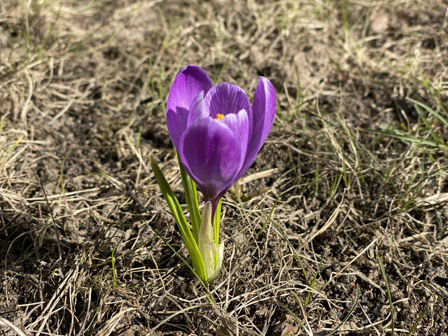 0-FB05082-E1-BC-474-A-8161-94-AE8-F3-FF2