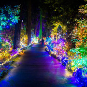 oregon-lights