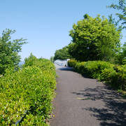 DSC-0001