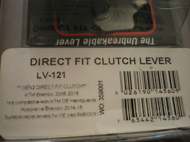 IMGP0381