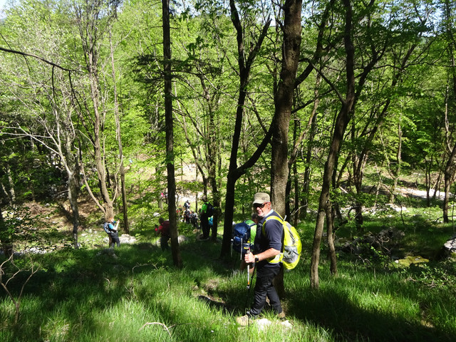 DSC04850.jpg