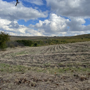 IMG 0394