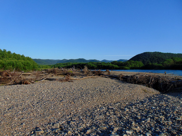 DSC06129.jpg