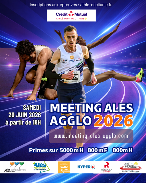 MEETING ALES AGGLO PNG