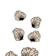 a9b2e221e501cb8dd9197ef77d139b0e