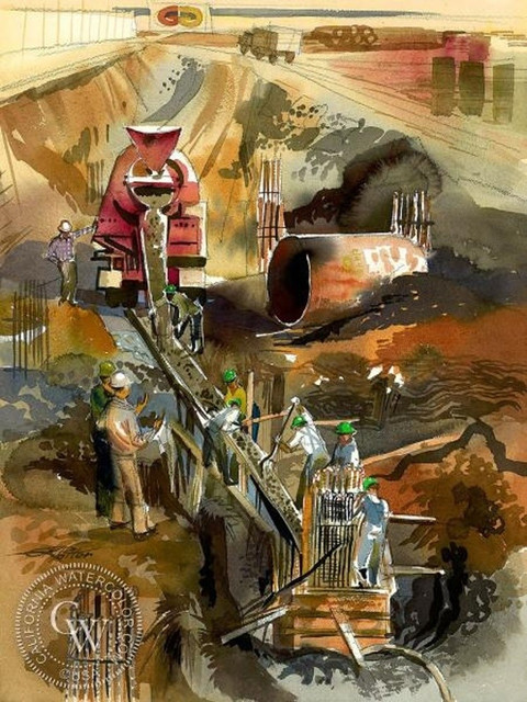 37