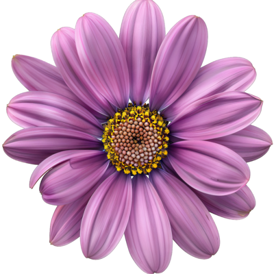 606de127e7d2a3a49699b6def2be3c26.png