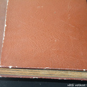 IMG-3134