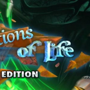 Reflectionslife8ce