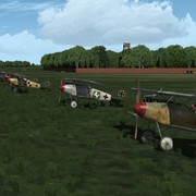 bois1a