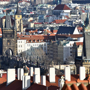DSC 2441