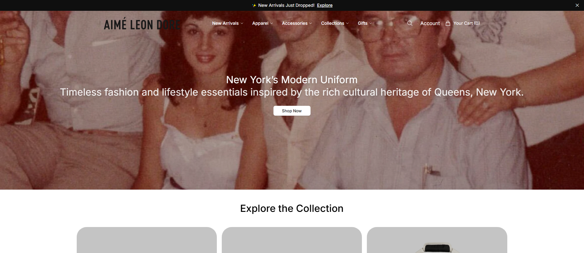Stored capture of aimeleondorestore.shop
