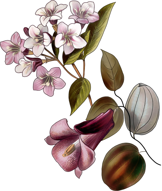 1f52d2bc44dc799032808f2a31408b69.png