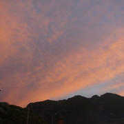 DSC05815
