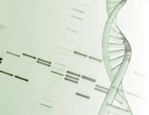 Genetics and Environment Entwined in Mental Disorders