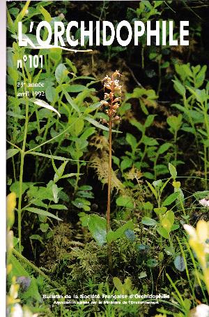 orchido101.jpg?042148