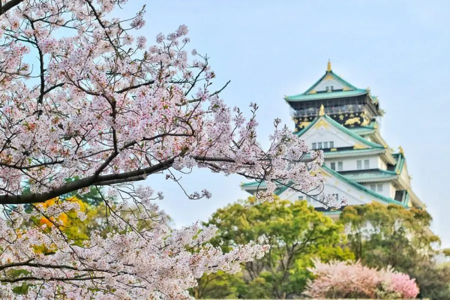 Vânzările duty-free din Japonia, în creștere datorită turismului